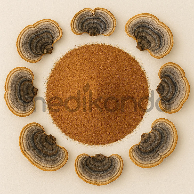 Coriolus Mushroom Powder