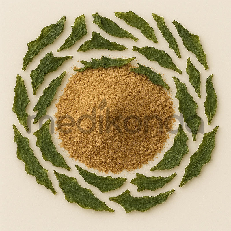 Kombucha Powder