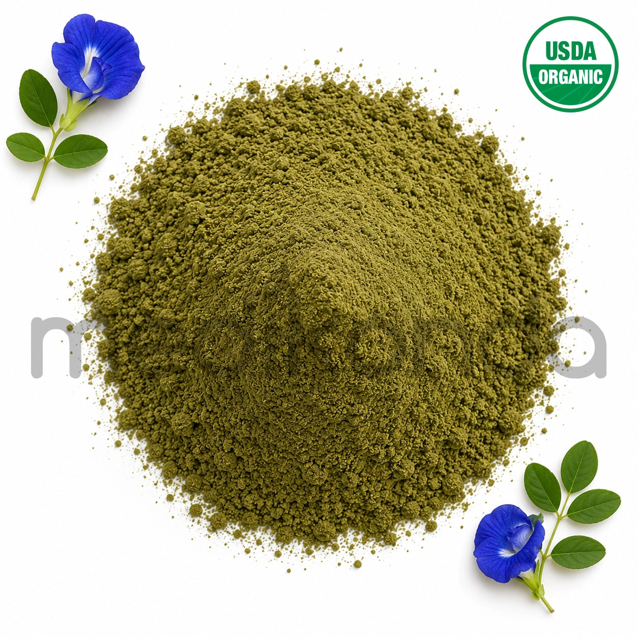 Shankapushpi Extract Powder for bulk supply