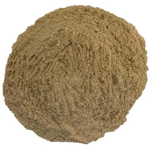 Benefits of Bromelain Extract Powder - Wholesale B2B Bulk Suppliers