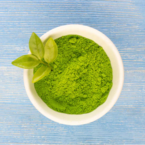 Benefits of Alfalfa Grass Powder - Wholesale B2B Bulk Suppliers