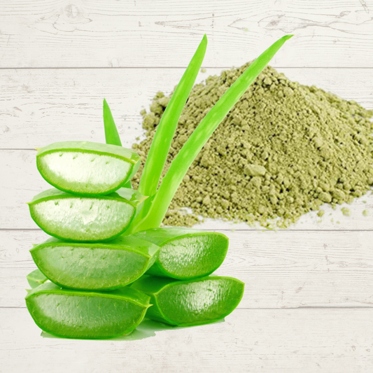Benefits of Aloe Vera Powder- Wholesale B2B Bulk Suppliers in Australia and New Zealand