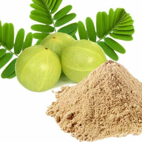 Benefits of Amla Extract Powder - Wholesale B2B Bulk Suppliers in Australia and New Zealand