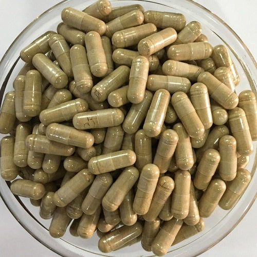 Benefits of Artichoke Capsules - Wholesale B2B Bulk Suppliers in Australia and New Zealand
