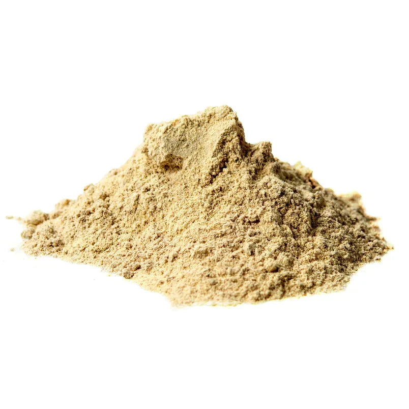 Benefits of Astragalus Extract Powder - Wholesale B2B Bulk Suppliers in Australia and New Zealand