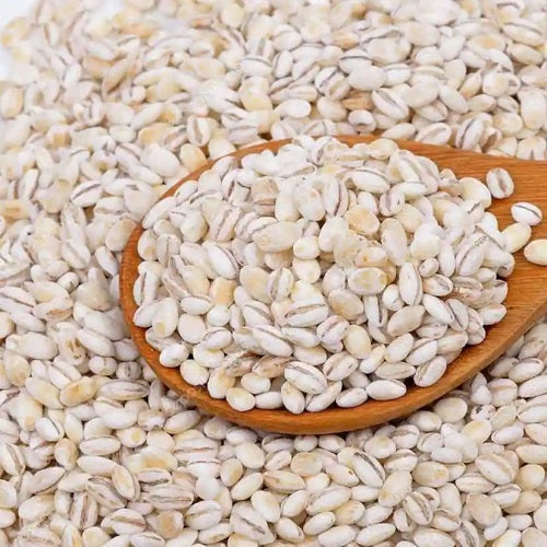 Benefits of Barley Seeds - Wholesale B2B Bulk Suppliers in Australia and New Zealand