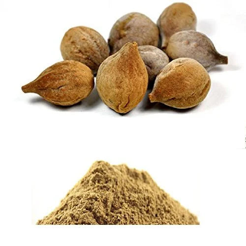 Benefits of Bibhitaki Extract Powder - Wholesale B2B Bulk Suppliers in Australia and New Zealand