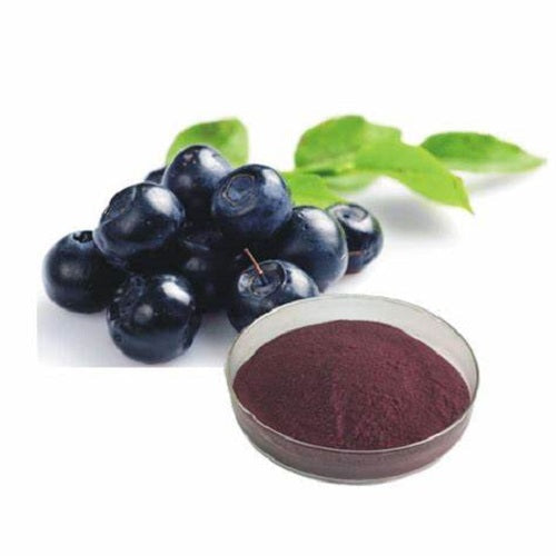 Benefits of Bilberry Extract Powder - Wholesale B2B Bulk Suppliers in Australia and New Zealand
