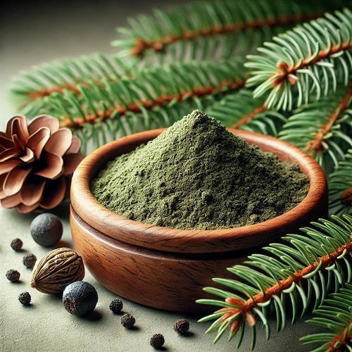 Benefits of Black Spruce Powder - Wholesale B2B Bulk Suppliers ...