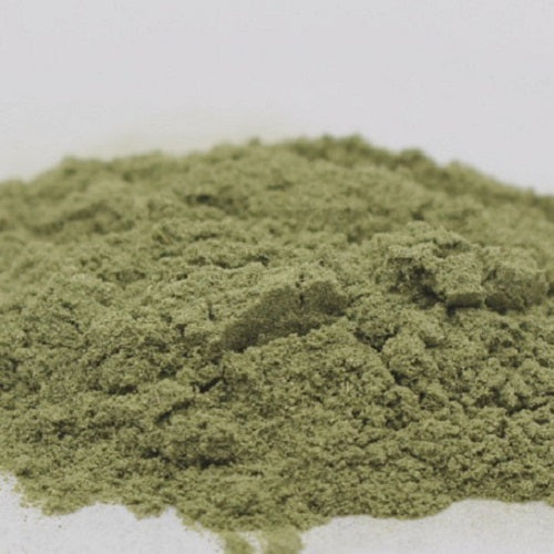 Benefits of Blessed Thistle powder - Wholesale B2B Bulk Suppliers