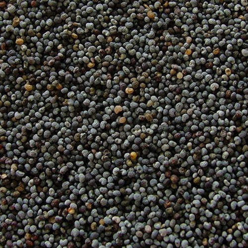 Benefits of Blue Poppy Seeds - Wholesale B2B Bulk Suppliers in Australia and New Zealand