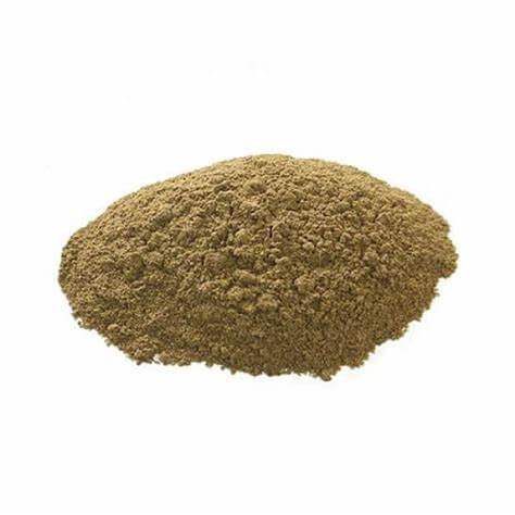 Benefits of Boldo Extract Powder - Wholesale B2B Bulk Suppliers in Australia and New Zealand