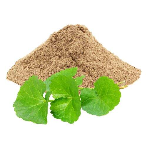 Benefits of Brahmi Bacopa Powder - Wholesale B2B Bulk Suppliers in Australia and New Zealand
