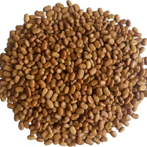 Benefits of Sesbania Grandiflora Seeds - Wholesale B2B Bulk Suppliers in Australia and New Zealand