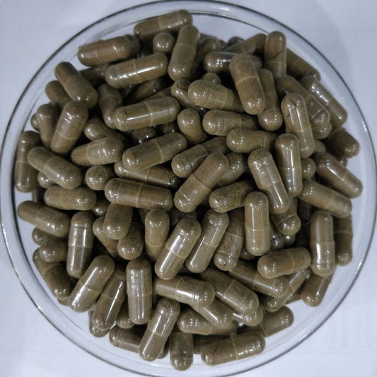 Benefits of Buchu Capsules - Wholesale B2B Bulk Suppliers in Australia and New Zealand