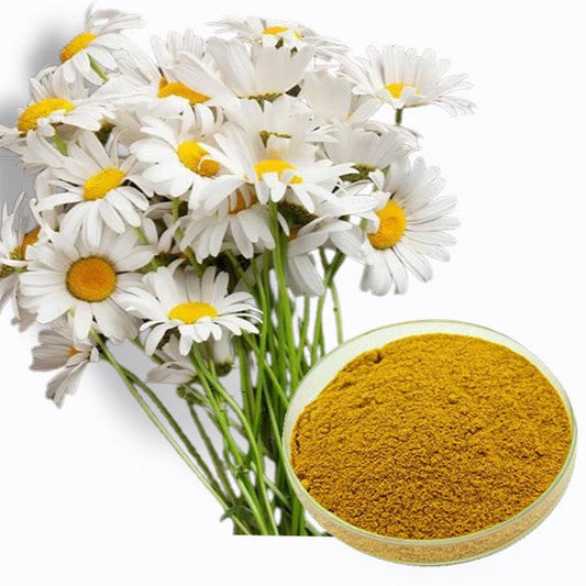 Benefits of Freeze Dried Chamomile Powder - Wholesale B2B Bulk Suppliers in Australia and New Zealand