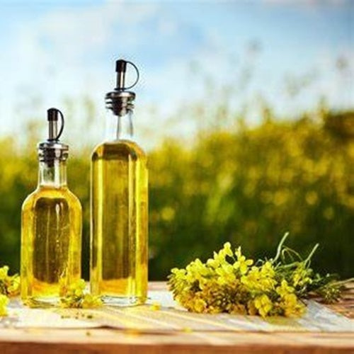 Benefits of Canola Oil - Wholesale B2B Bulk Suppliers in Australia and New Zealand