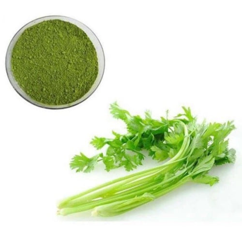 Benefits of Celery Juice Powder - Wholesale B2B Bulk Suppliers in Australia and New Zealand