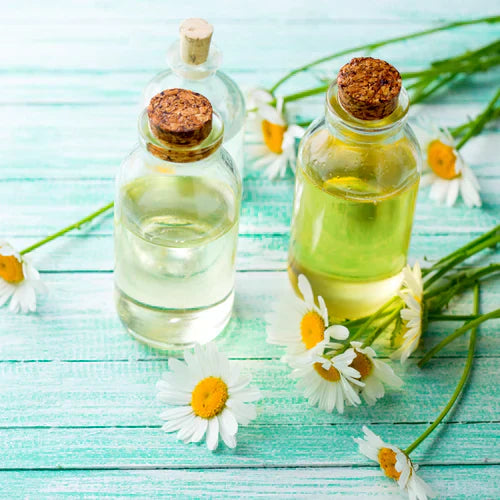 Benefits of Chamomile Essential Oil - Wholesale B2B Bulk Suppliers in Australia and New Zealand
