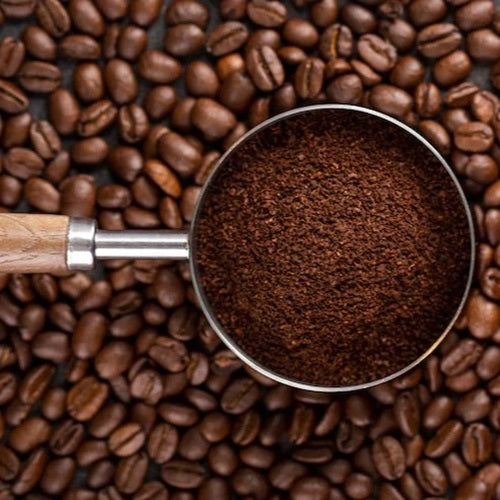 Benefits of Coffee Seed Powder - Wholesale B2B Bulk Suppliers