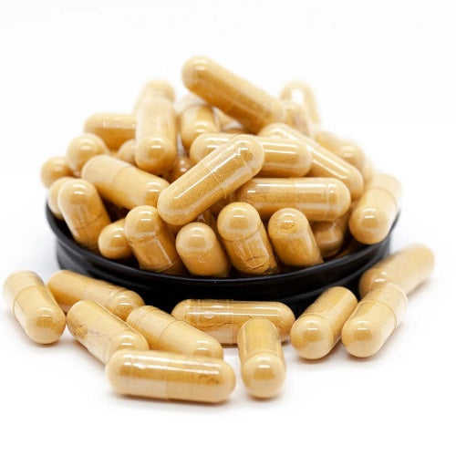 Benefits of Cordyceps Capsules - Wholesale B2B Bulk Suppliers in Australia and New Zealand