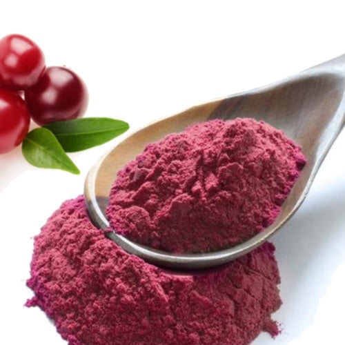 Benefits of Cranberry Fruit Powder - Wholesale B2B Bulk Suppliers