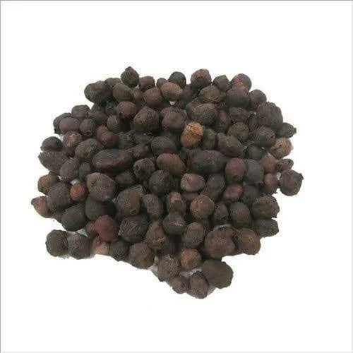 Benefits of Dried Jamun Seeds - Wholesale B2B Bulk Suppliers in Australia and New Zealand