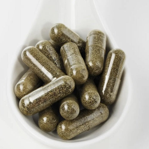 Benefits Of Echinacea Capsules - Wholesale B2B Bulk Suppliers