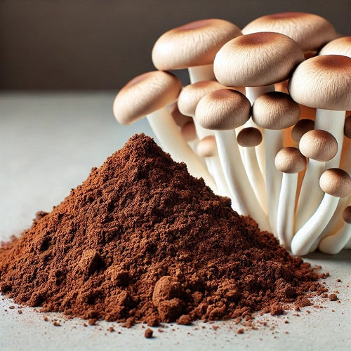 Benefits of Enoki Mushroom Extract Powder - Wholesale B2B Bulk Suppliers in Australia and New Zealand