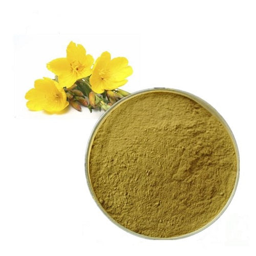 Benefits of Evening-Primrose Extract Powder - Wholesale B2B Bulk Suppliers in Australia and New Zealand