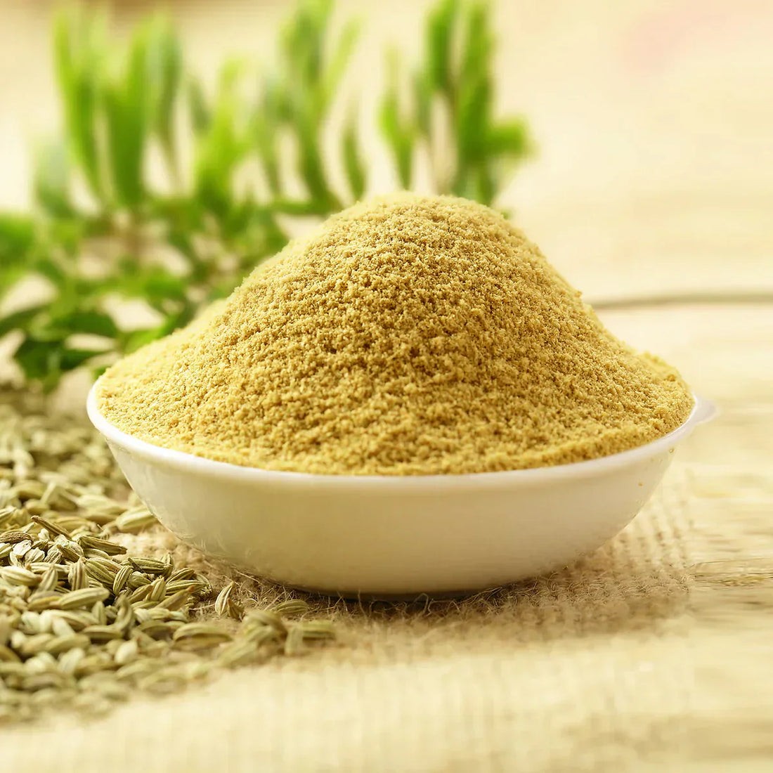 Benefits of Fennel Seed Powder - Wholesale B2B Bulk Suppliers in Australia and New Zealand