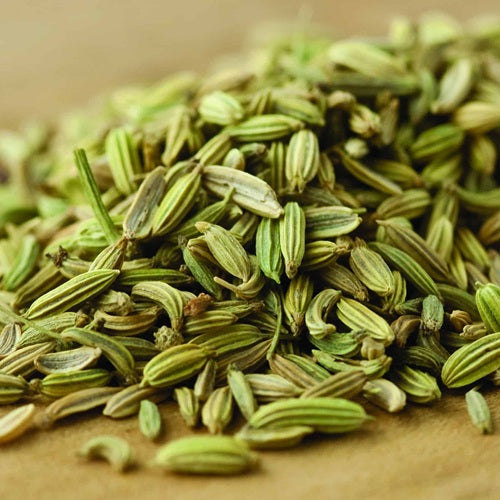 Benefits of Fennel seeds - Wholesale B2B Bulk Suppliers in Australia and New Zealand