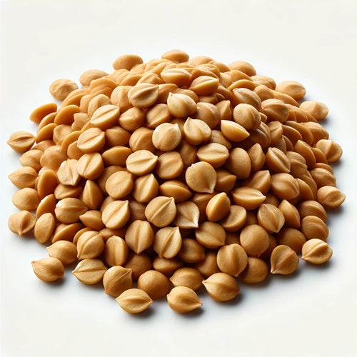 Benefits of Fenugreek Seeds - Wholesale B2B Bulk Suppliers in Australia and New Zealand