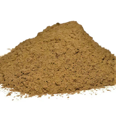 Benefits of Huperzia Serrata Extract Powder - Wholesale B2B Bulk Suppliers in Australia and New Zealand