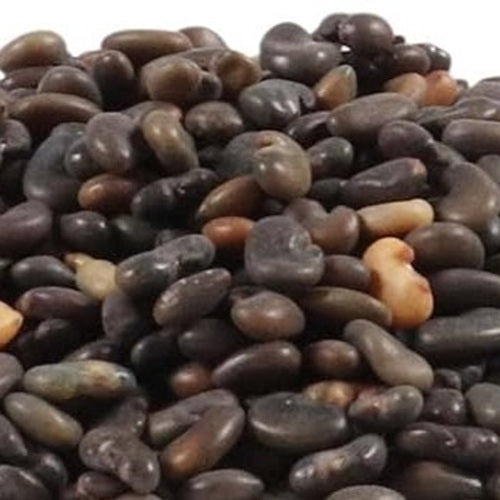 Benefits of Indrayan Seeds - Wholesale B2B Bulk Suppliers in Australia and New Zealand