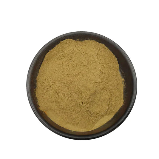 Benefits of Java Tea Extract Powder - Wholesale B2B Bulk Suppliers in Australia and New Zealand