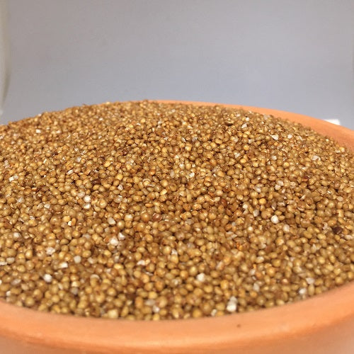 Benefits of Kodo Millet Seeds - Wholesale B2B Bulk Suppliers in Australia and New Zealand