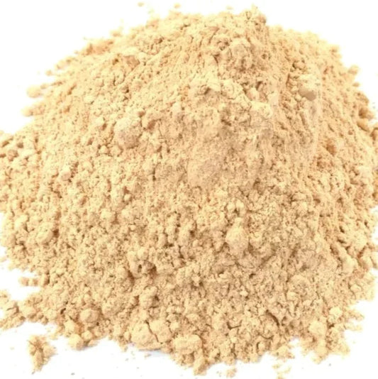 Benefits of Lion's Mane Powder - Wholesale B2B Bulk Suppliers in Australia and New Zealand