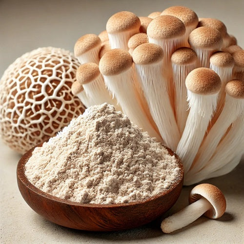 Benefits of Lion’s Mane Extract Powder - Wholesale B2B Bulk Suppliers in Australia and New Zealand