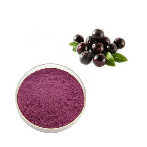 Benefits of Maqui Berry Extract Powder - Wholesale B2B Bulk Suppliers in Australia and New Zealand