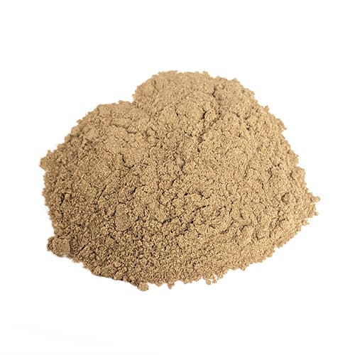 Benefits of Maral Root Extract Powder - Wholesale B2B Bulk Suppliers in Australia and New Zealand