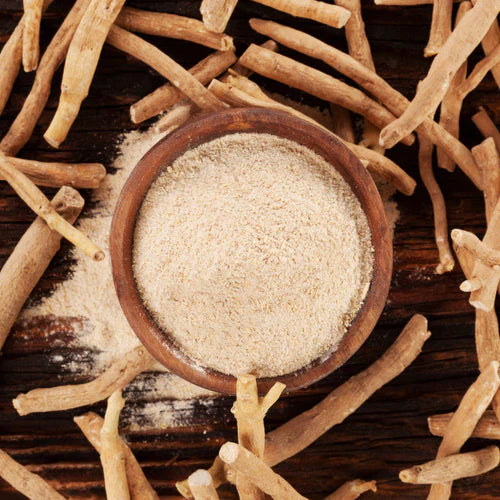 Benefits of Ashwagandha Root Powder - Wholesale B2B Bulk Suppliers