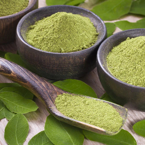 Benefits of Graviola Leaf Powder - Wholesale B2B Bulk Suppliers in Australia and New Zealand
