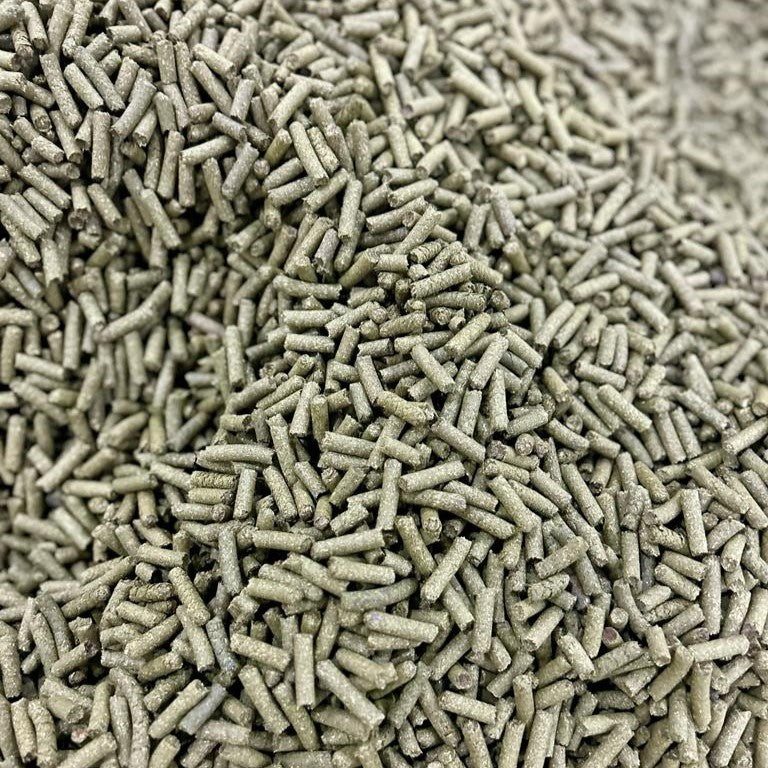 Benefits of Green Raw Papaya Pellets for Horse Feed - Wholesale B2B Bulk Suppliers in Australia and New Zealand