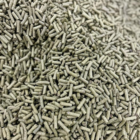 Benefits of Green Raw Papaya Pellets for Horse Feed - Wholesale B2B Bulk Suppliers in Australia and New Zealand