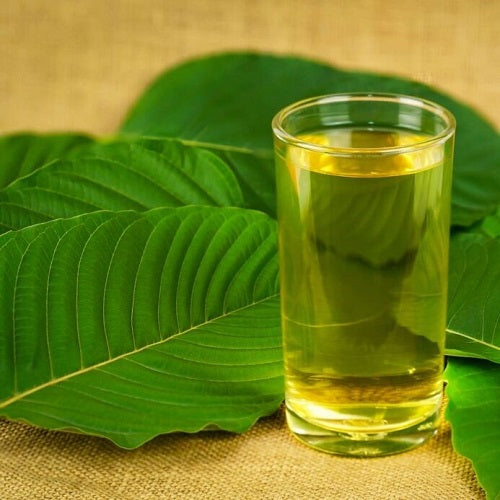 Benefits of Mitragyna Speciosa Extract Liquid - Wholesale B2B Bulk Suppliers in Australia and New Zealand