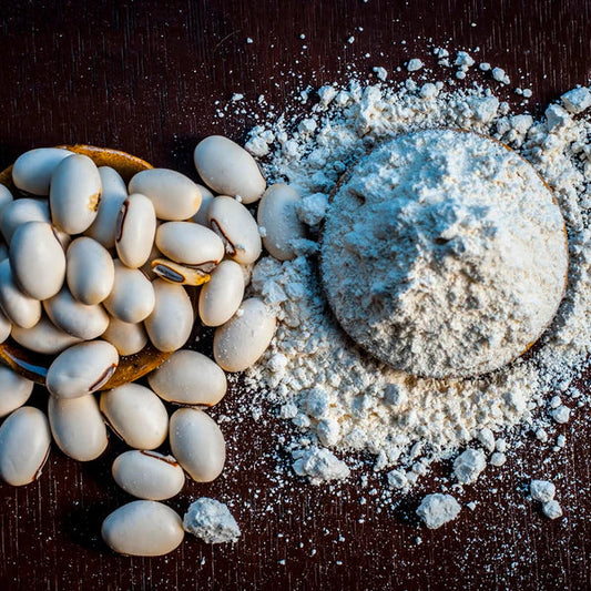 Benefits of using Mucuna Pruriens Powder - Wholesale B2B Bulk Suppliers