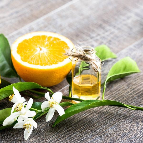 Benefits of Neroli Essential Oil - Wholesale B2B Bulk Suppliers in Australia and New Zealand