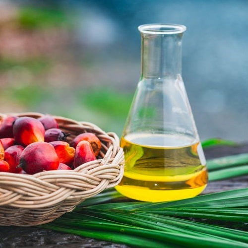 Benefits of Palm Oil - Wholesale B2B Bulk Suppliers in Australia and New Zealand