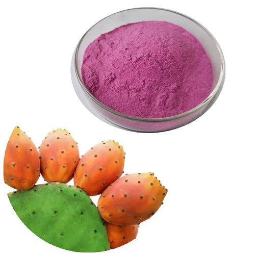 Benefits of Prickly Pear Extract Powder - Wholesale B2B Bulk Suppliers in Australia and New Zealand